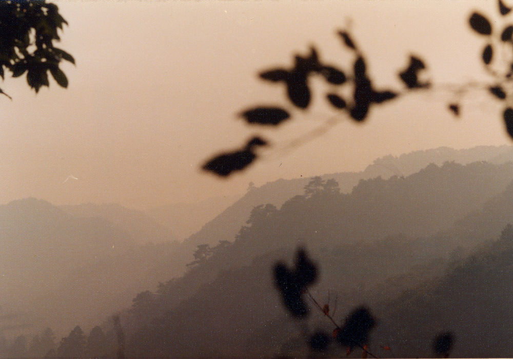 View from Mount Kompira, Takao